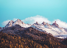 开云体育APP下载-巴萨临时开放Gol 1957看台，750球迷助威马竞关键战|巴塞罗那|马德里竞技|比赛|国王杯|巴塞罗那市_新浪体育_新浪新闻